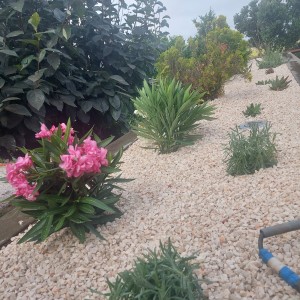 jardins com inertes